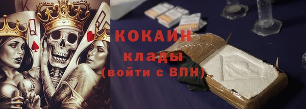 дмт Нягань