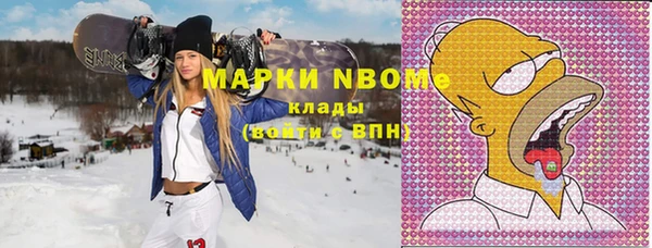 метадон Няндома