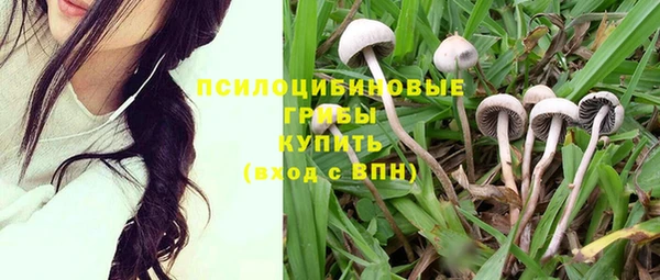 метадон Няндома