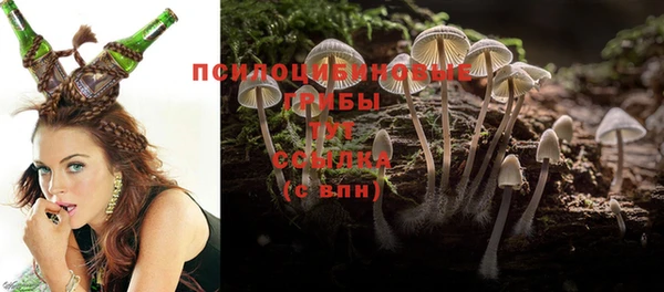 метадон Няндома