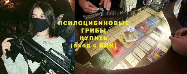 метадон Няндома