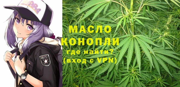 дмт Нягань