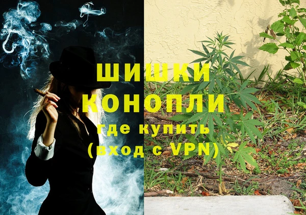 дмт Нягань