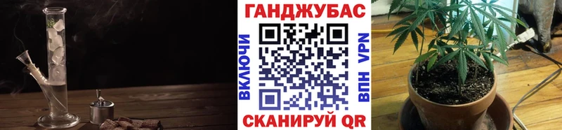 продажа наркотиков Кущёвская Канабис конопля